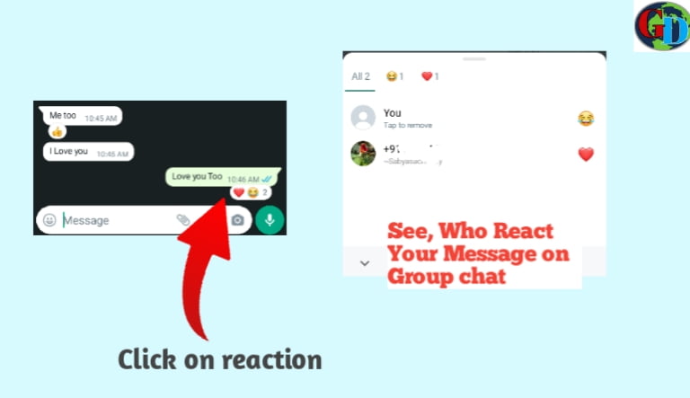 Whatsapp message reaction feature 