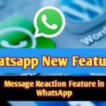 Whatsapp message reaction feature Hindi