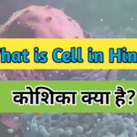 Cell in Hindi, कोशिका क्या है