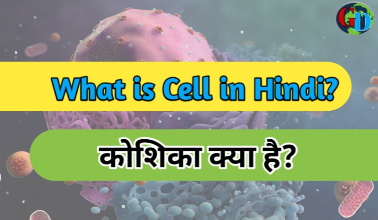 Cell in Hindi, कोशिका क्या है