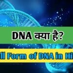 DNA in Hindi, DNA full form in Hindi