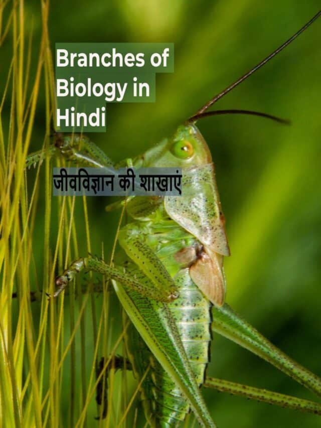 Branches of Biology in Hindi | जीवविज्ञान की शाखाएं