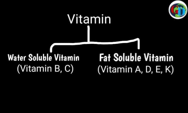 type of vitamin, vitamin in hindi

