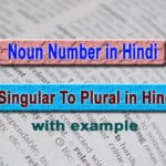 Singular to plural in hindi rules, singular to plural in hindi