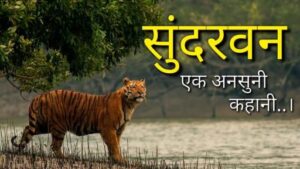 Translate সুন্দরবন in Hindi