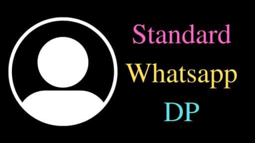 standard whatsapp dp