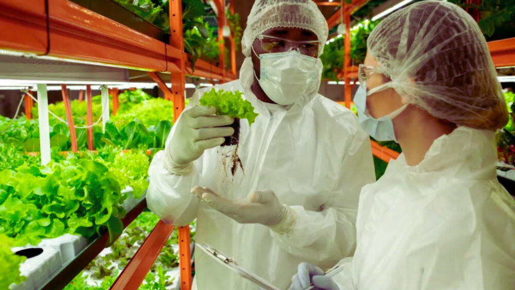 Plant Biology Jobs: Opportunities and Career Growth in 2025 - Gyaanduniya