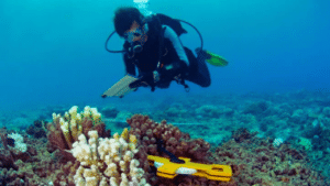 marine biology jobs