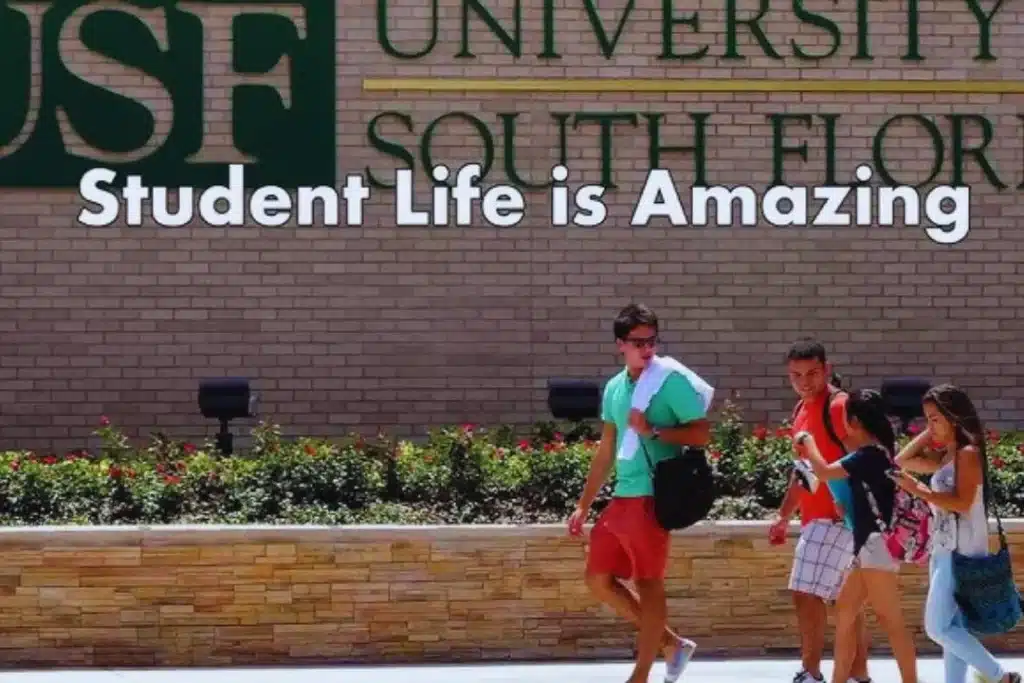 University of South Florida