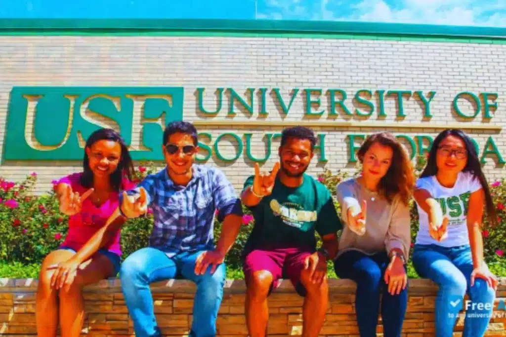 University of South Florida